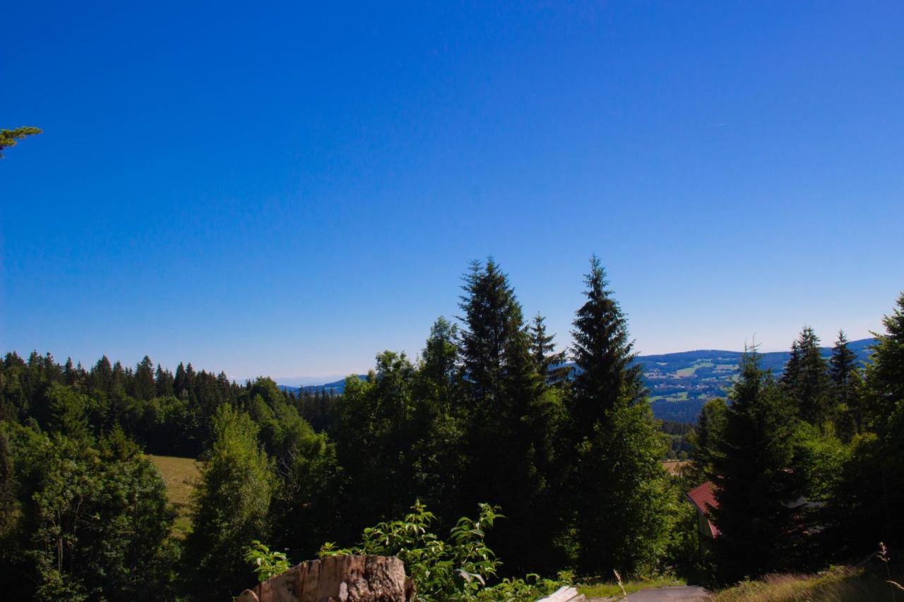 Ferienhaus Ploeckenstein Schwarzenberg am Bohmerwald Zewnętrze zdjęcie