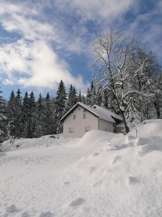 Ferienhaus Ploeckenstein Schwarzenberg am Bohmerwald Zewnętrze zdjęcie