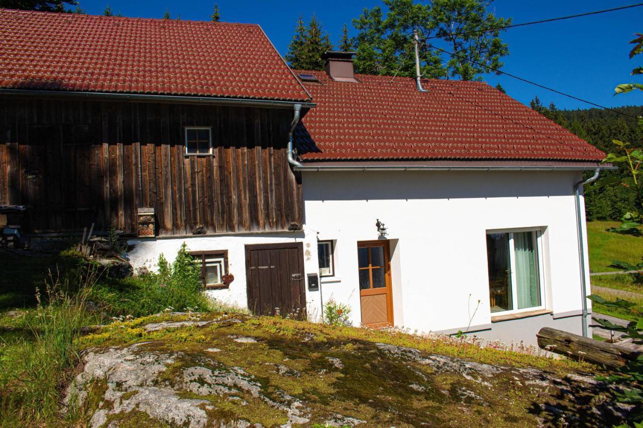 Ferienhaus Ploeckenstein Schwarzenberg am Bohmerwald Zewnętrze zdjęcie