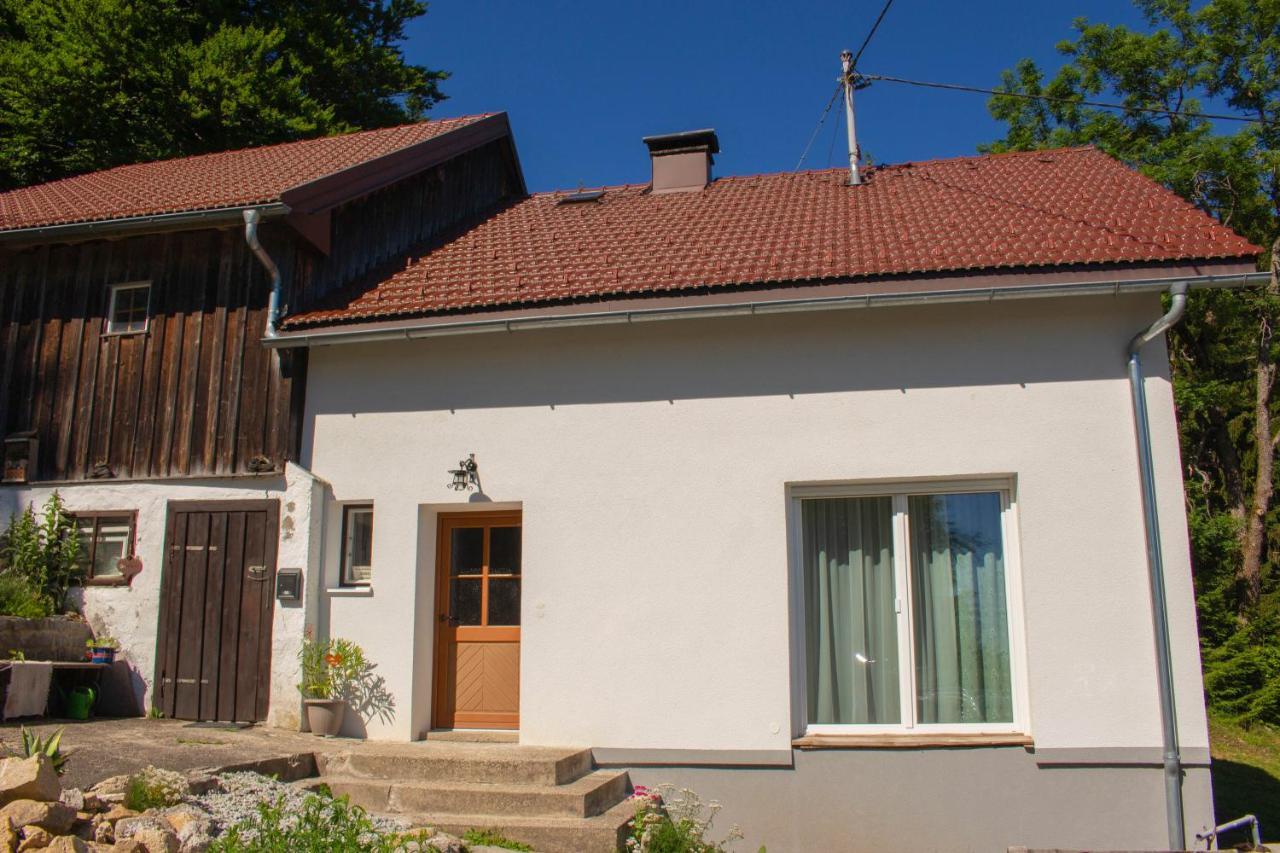 Ferienhaus Ploeckenstein Schwarzenberg am Bohmerwald Zewnętrze zdjęcie