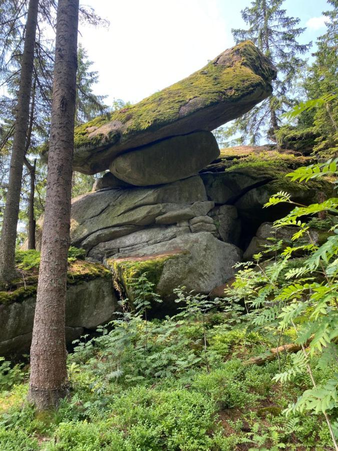Ferienhaus Ploeckenstein Schwarzenberg am Bohmerwald Zewnętrze zdjęcie